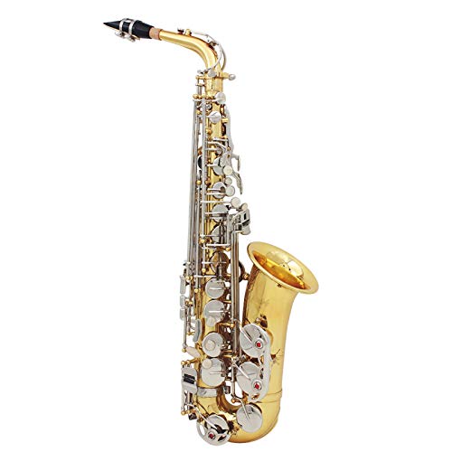 Btuty Saxofón alto de latón brillante grabado Eb E-Flat con botón de concha blanca natural con funda, guantes silenciosos, cepillo para cinturón