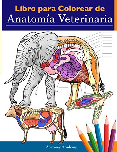 Libro para colorear de anatomía veterinaria: Libro de trabajo para colorear de autoevaluación de fisiología animal para estudiar y relajarse | Un ... estudiantes veterinarios e incluso adultos